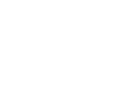 Handsome Media