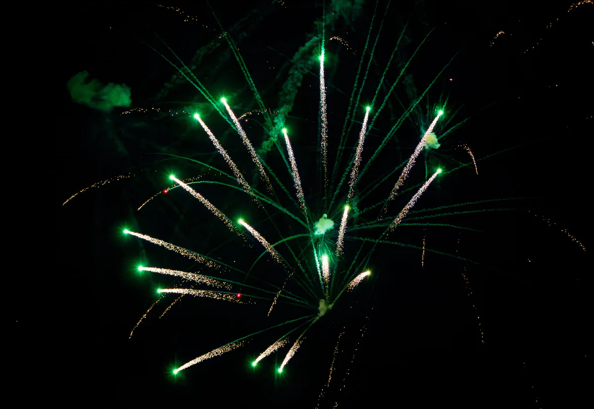 A green and gold firework opens wide in the dark.