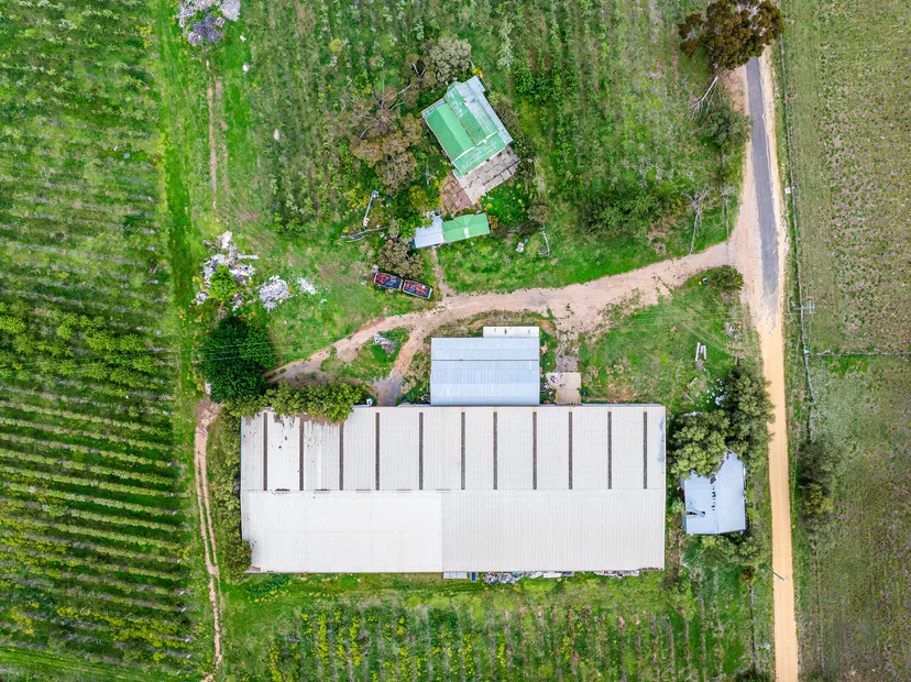 Drone view straight down on a packing shed and cottage beside orchard rows and a dirt road