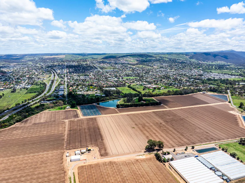 Drone view over farm paddocks with a country town and hills behind