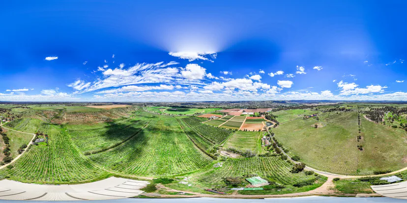 Wide drone view of green farmland under a blue sky with scattered cloud