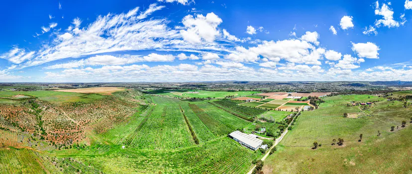 Panoramic drone view over green farmland and a shed under a wide blue sky