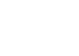 Handsome Media