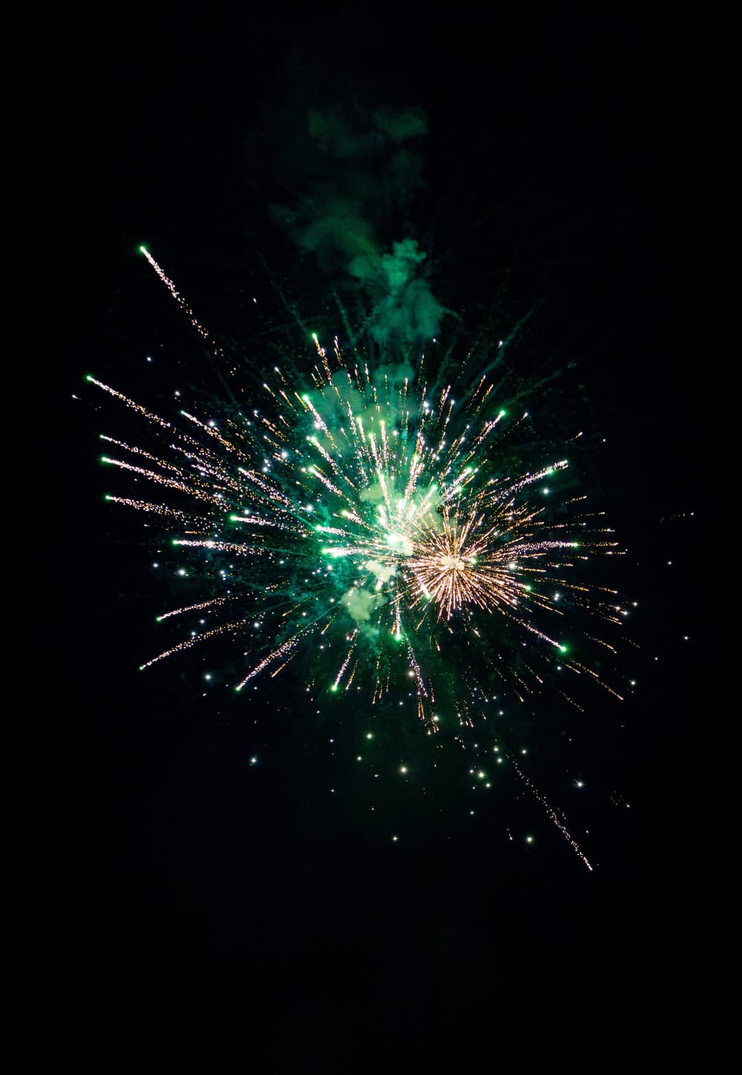 A green and gold burst, sparks trailing wide across the dark