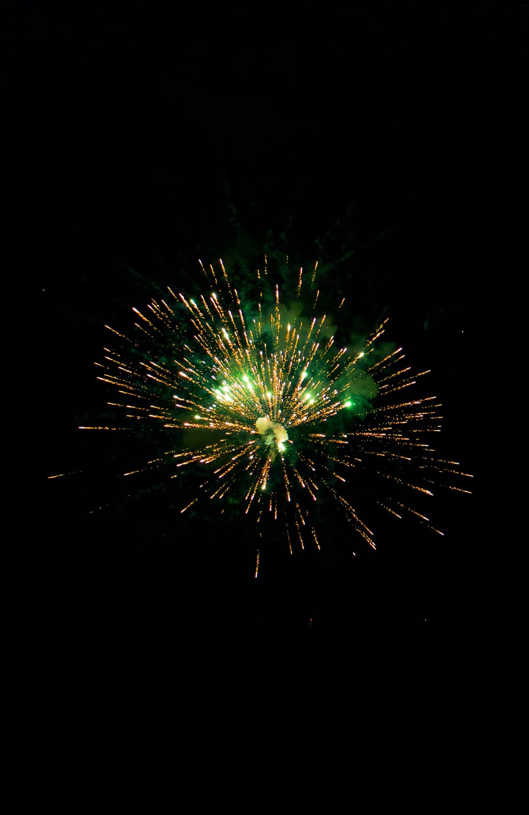 A single gold and green burst high in the night sky