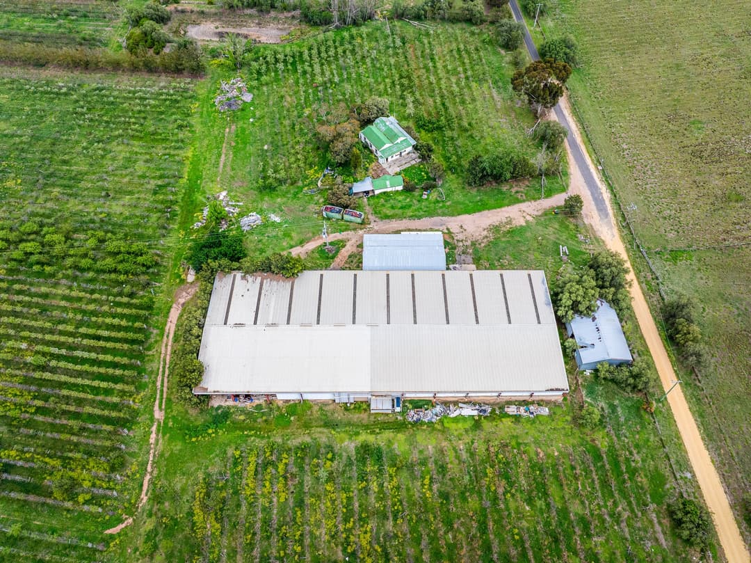 Overhead drone view of an orchard property, packing shed, cottage and rows of trees