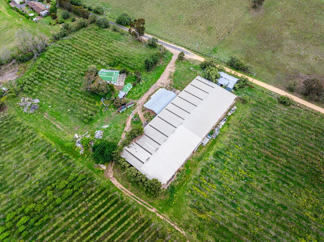 Aerial over a rural property with a large shed among rows of crops