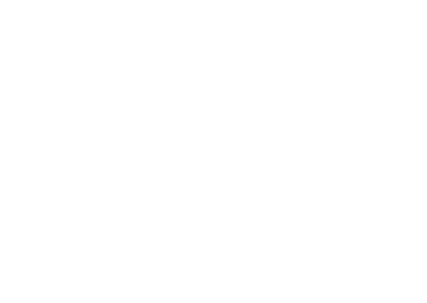 Handsome Media